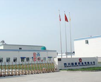 四川天空电子·(中国)网站有限公司