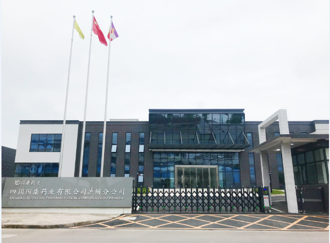天空电子·(中国)网站泸州分公司建设推进顺利，不日将投产